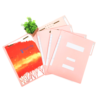 정부화일 A4 (분홍/BOX)