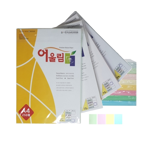 컬러 복사용지(색지) A4/75g(250매)