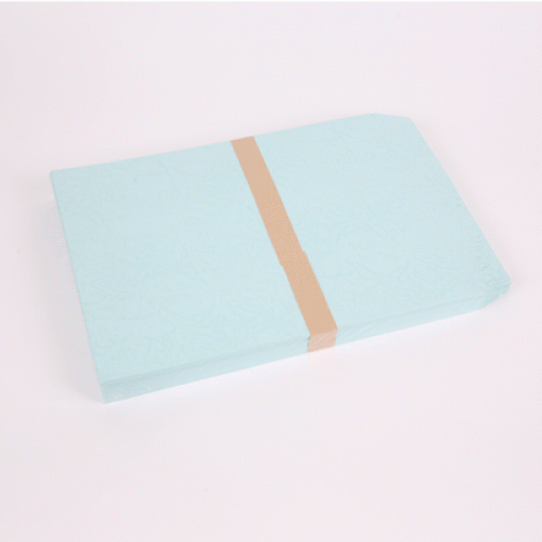행정봉투 특호(120g) 1박스