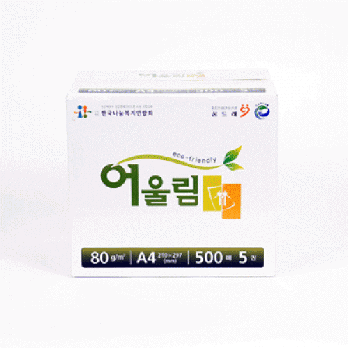 복사용지 A4/80g(건식2종/친환경)(2,500매)
