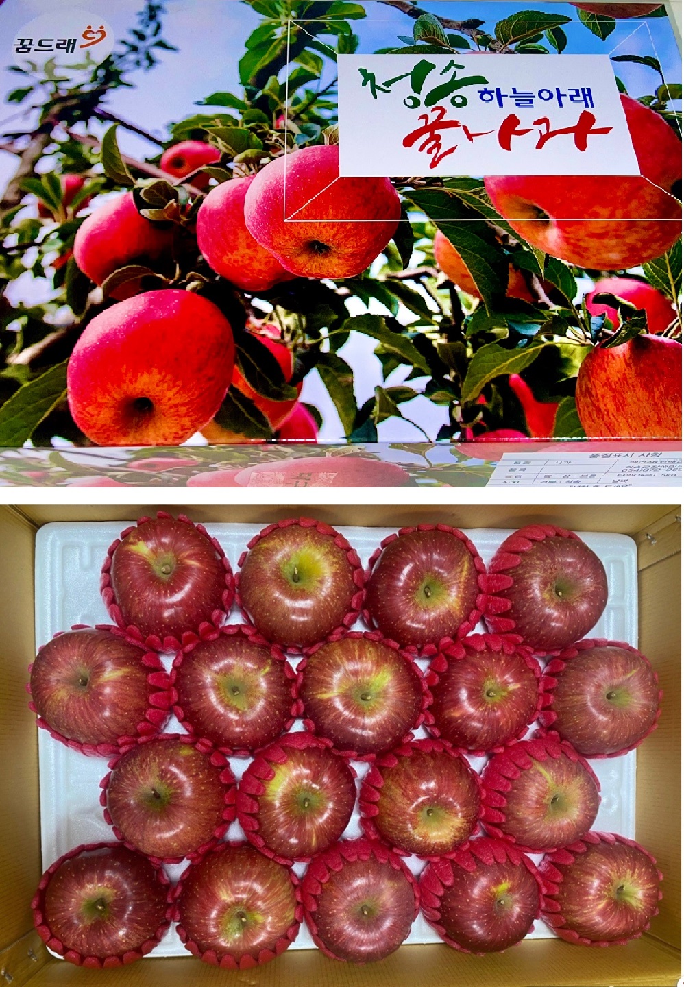 청송하늘아래꿀사과